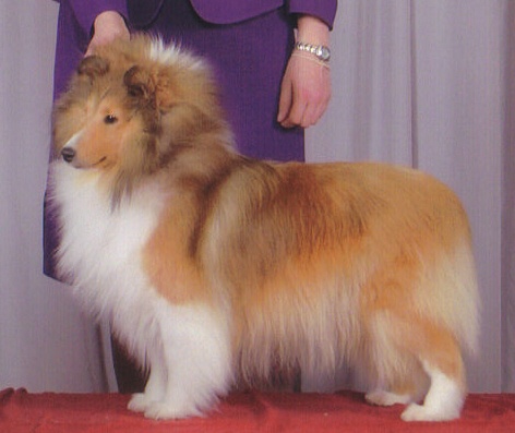 Front Page Image 7