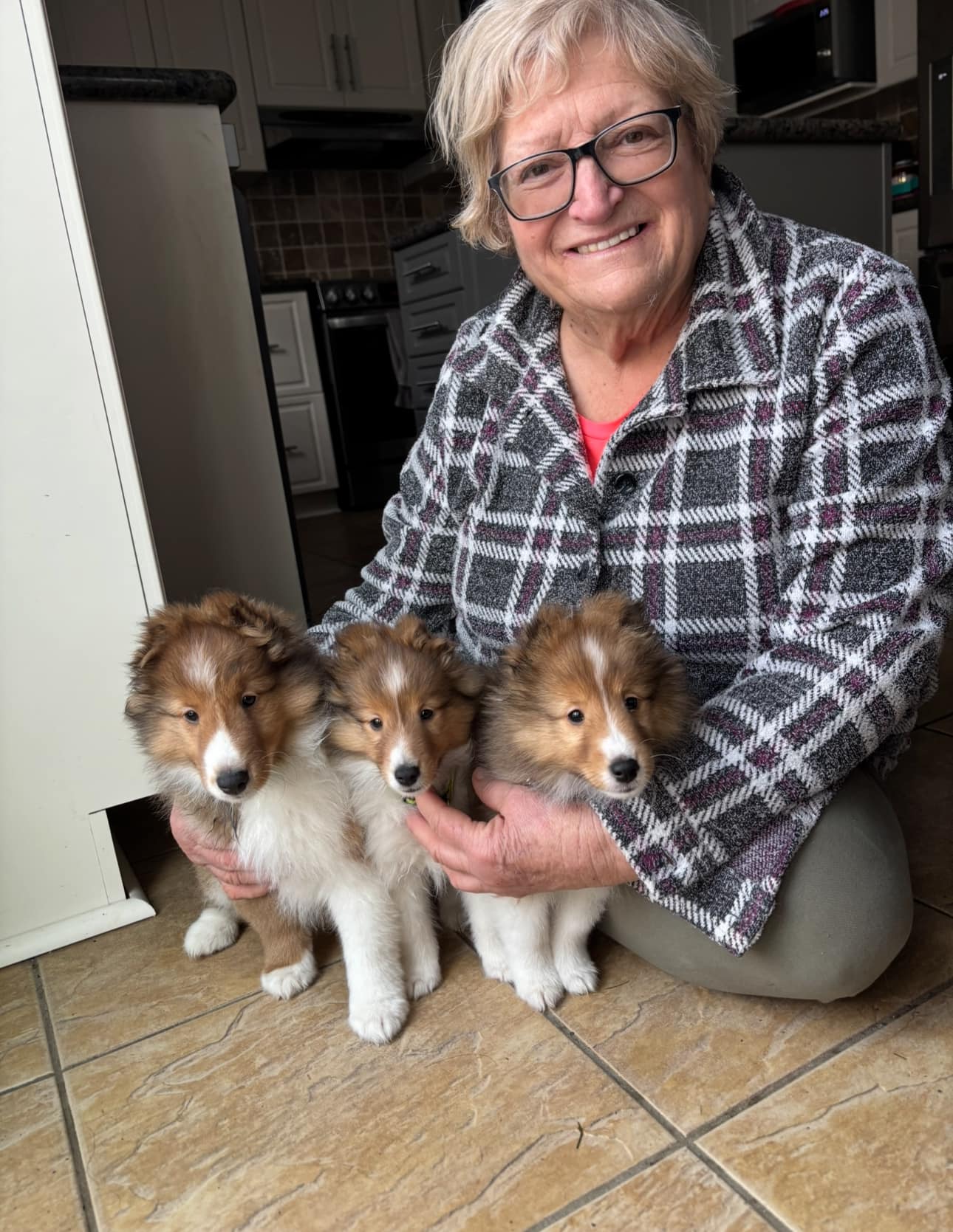 Dazzle's three baby boys with owner Linda October 2024